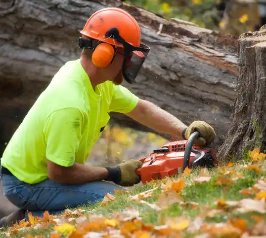 tree services Middletown